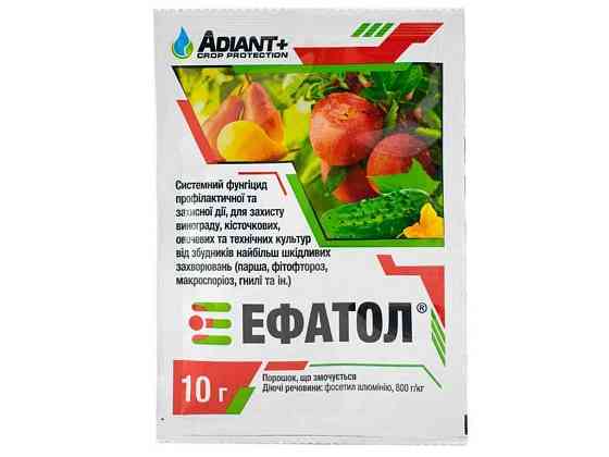 Фунгицид Эфатол 10г (иноград, косточки, овощные и технические культуры) ТМ АДИАНТ Киев