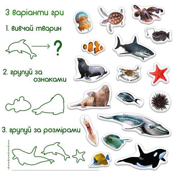Дитячий набір магнітів Морські мешканці фото ML4031-28 EN Вінниця