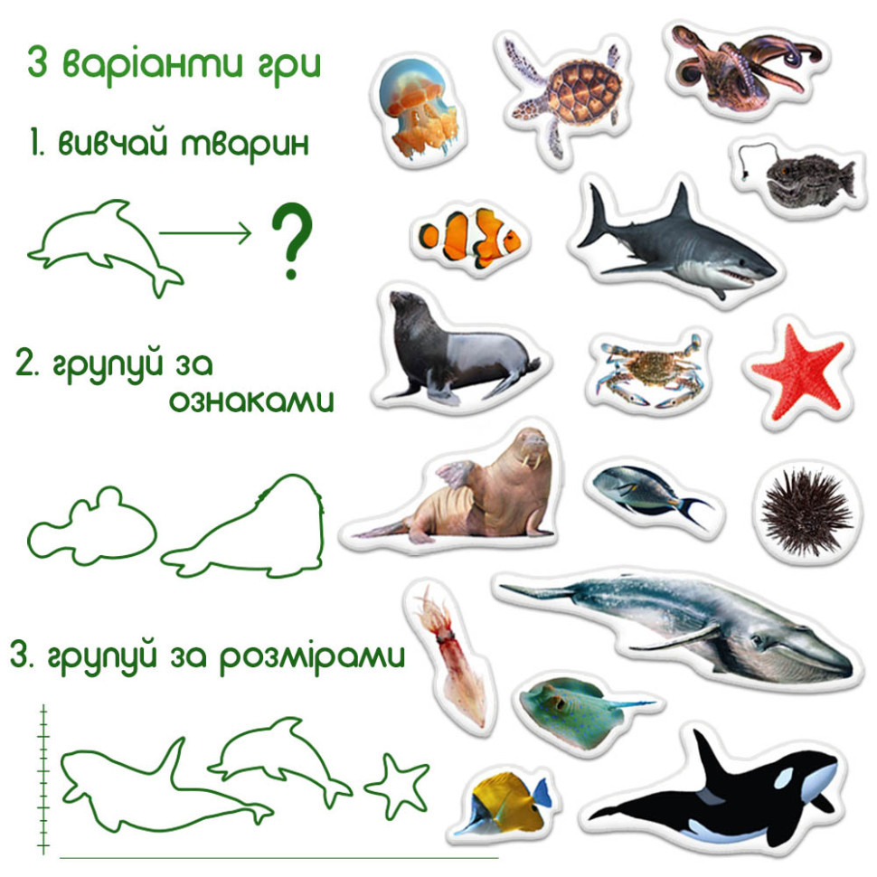 Дитячий набір магнітів Морські мешканці фото ML4031-28 EN Вінниця - фото 5
