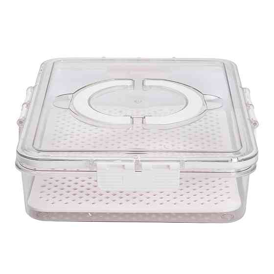 Yiwu Контейнер для їжі з ручкою 31х24х7 см пластиковий харчовий контейнер 2.5 л HP-27-10 Коломыя