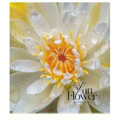 Зошит Школярик Sun Flower 48 аркушів клітинка (048-3456K) Вінниця