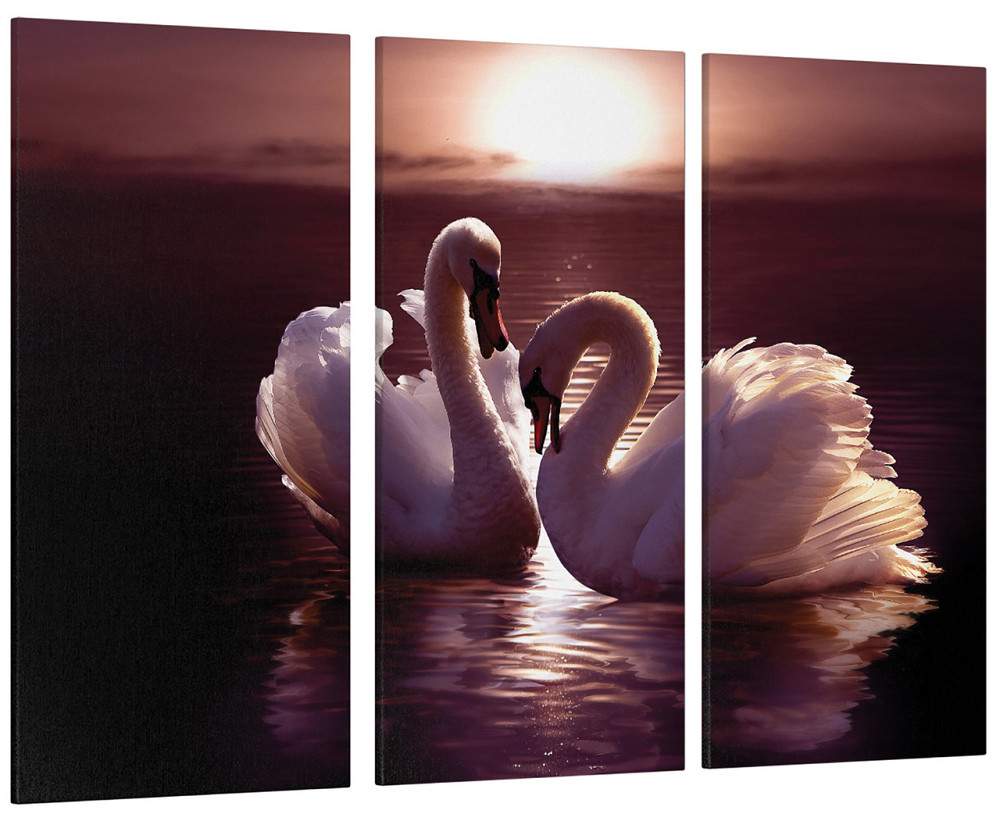 Модульная картина Лебеди Art-124_XXL 53x100 см Киев - изображение 1