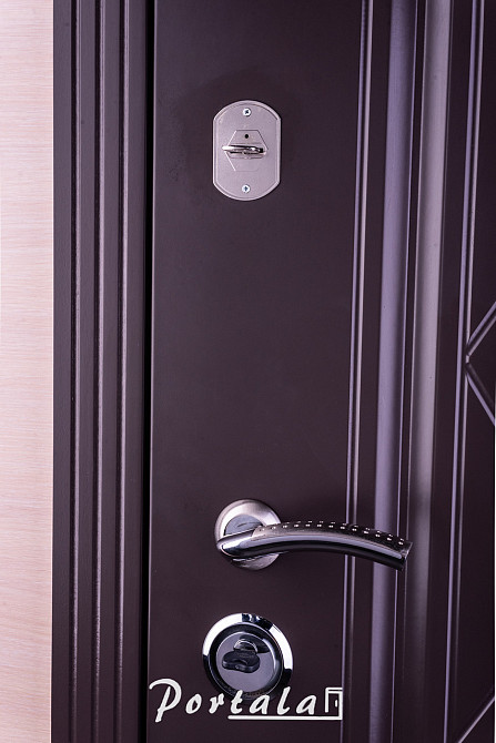 Двері вуличні, серія Люкс+КАЛЕ, фарбований МДФ, модель Шампань, гнутий профіль, коробка 100 мм, полотно 76 мм Київ - фото 2