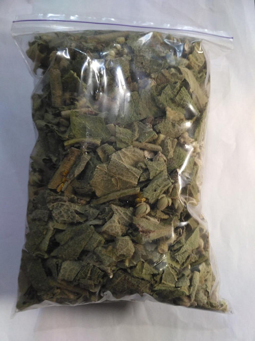 Дивина скіпетровидна (Коровяк скипетровидный) (трава) 100г master sem Киев - изображение 3