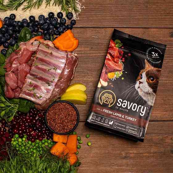 Сухой корм для взрослых кошек Сейвори Savory Adult Cat Sensitive Digestion Fresh Lamb & Turkey, 400 г Винница
