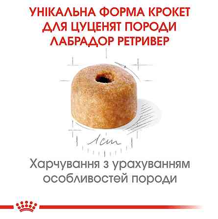 Корм для цуценят ROYAL CANIN LABRADOR PUPPY 12.0 кг Київ
