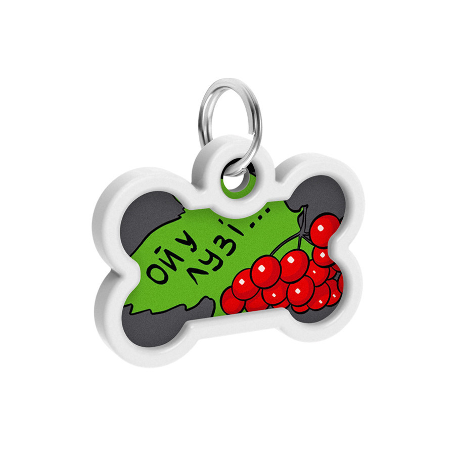 Адресник для собак і котів металевий WAUDOG Smart ID з QR-паспортом, малюнок "Каліна", кістка, Д 40 мм, Ш Вінниця - фото 4