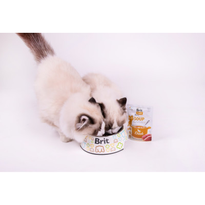 Влажный корм для кошек Brit Care Soup with Duck с уткой 75 г (8595602569182) Винница - изображение 5