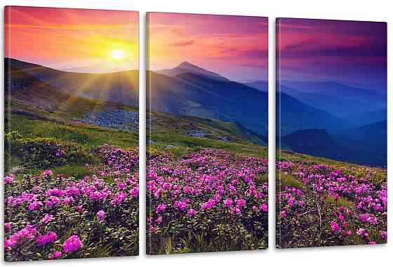 Модульная картина Природа Гори  Art-62_3А 100x150 см Киев