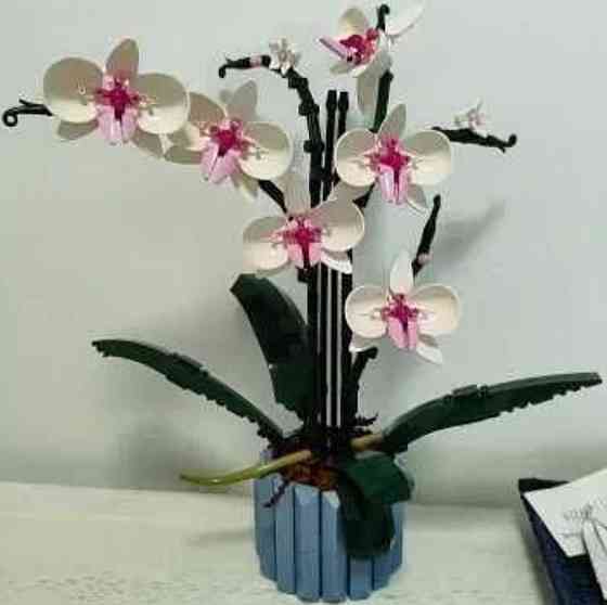 Конструктор напоминает LEGO Icons Botanical Орхидея из 608 деталей. Киев