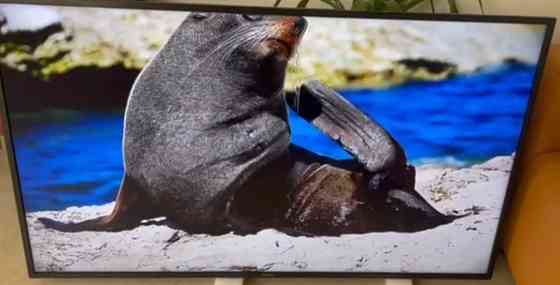 Телевізор Безрамний: 65" 4K, 8 серія, Smart UHD SONY 65XG8096. Харків