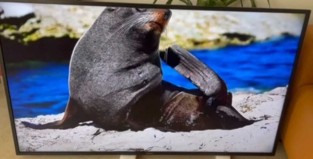 Телевізор Безрамний: 65" 4K, 8 серія, Smart UHD SONY 65XG8096. Харків - фото 2