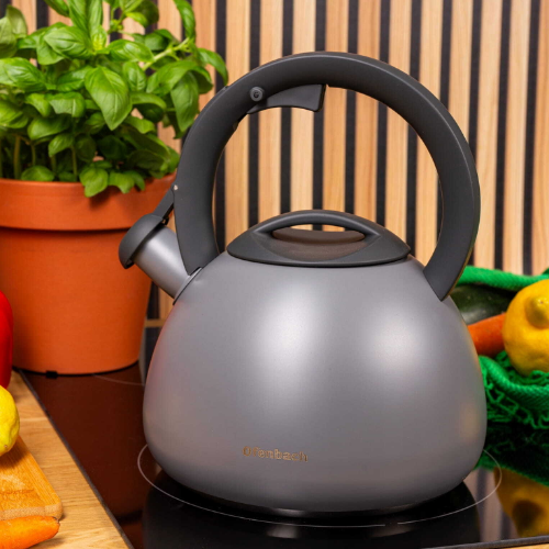 Чайник 2,7 л 100321 Ofenbach Житомир