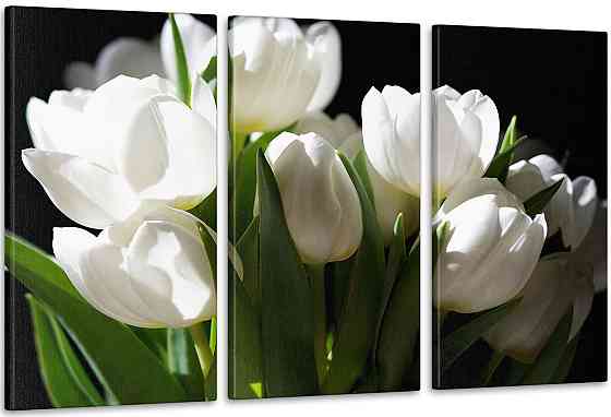 Модульна картина кольорів Тюльпани Арт-149_3А 100x150 см Київ