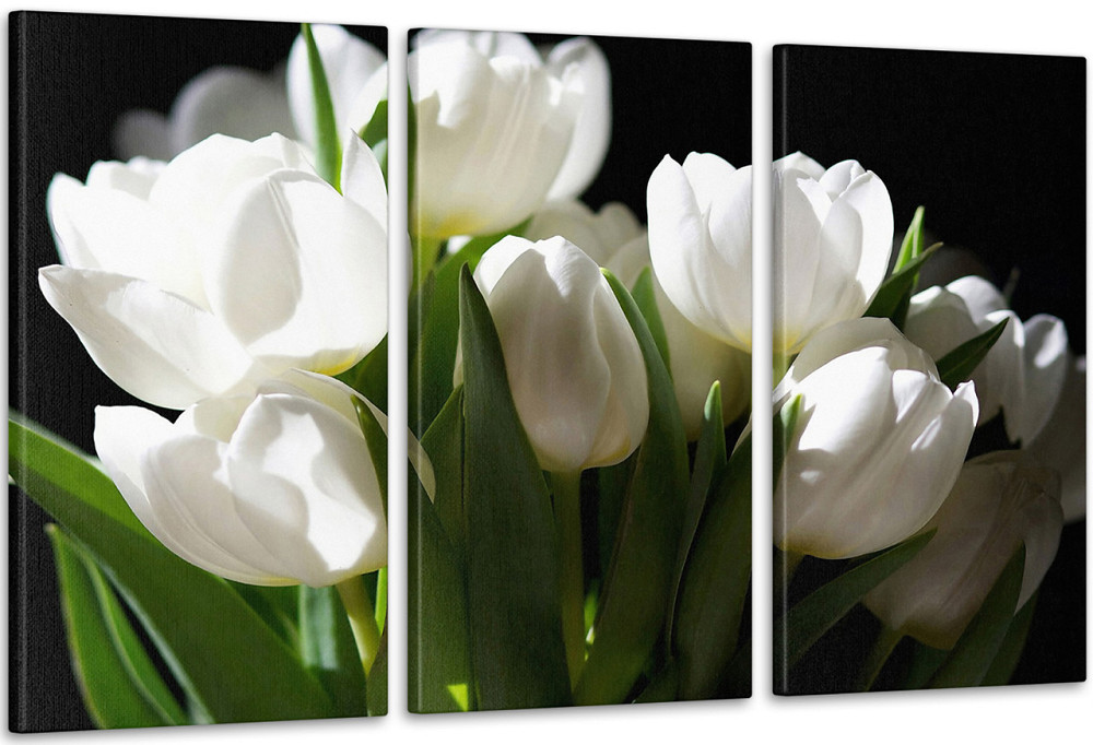 Модульна картина кольорів Тюльпани Арт-149_3А 100x150 см Київ - фото 1