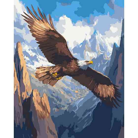 Картина за номерами "Політ над безмежжям" 11748-AC 40х50 см Вінниця