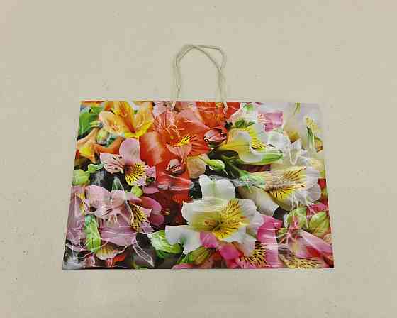 Паперовий великий горизонтальний пакет 36/22/10 (артBG-080) (12 шт.) Харків