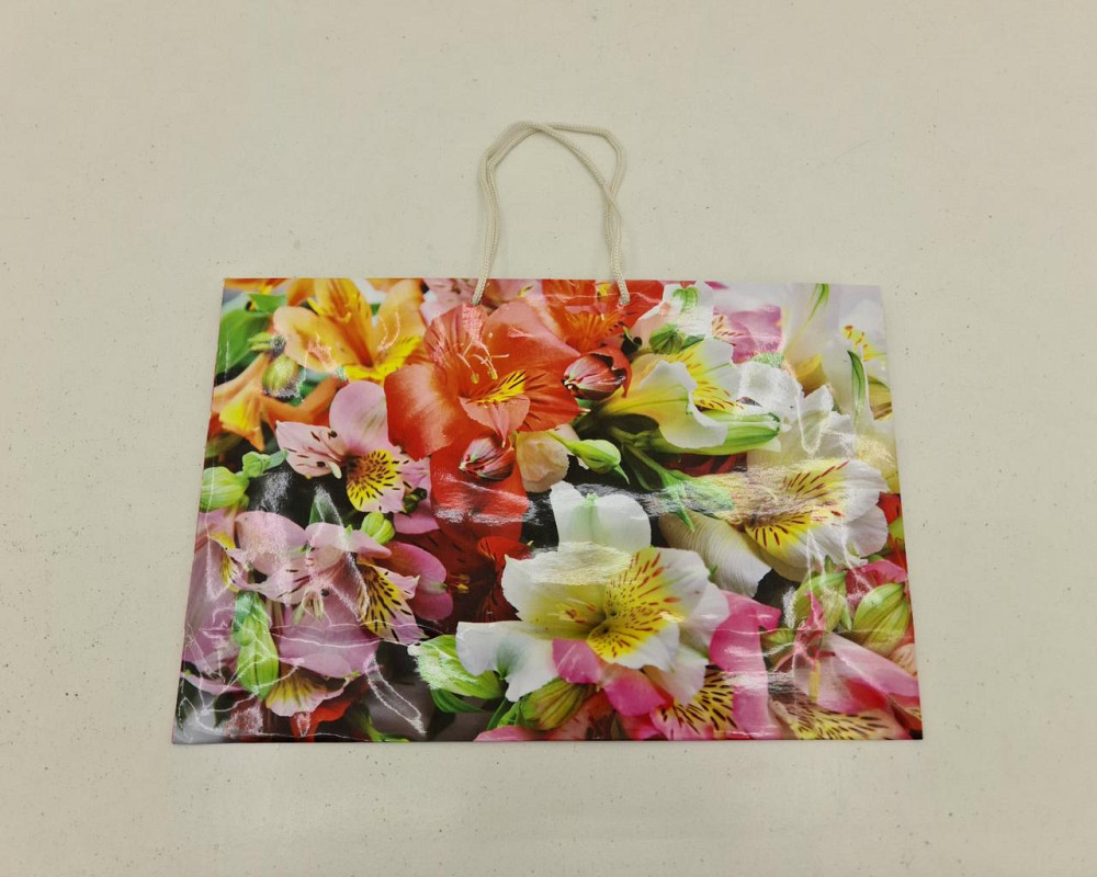 Бумажный большой горизонтальный пакет  36/22/10(артBG-080) (12 шт) Харьков - изображение 2