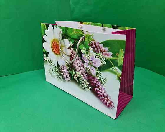 Бумажный большой горизонтальный пакет  36/22/10(артBG-086) (12 шт) Харьков