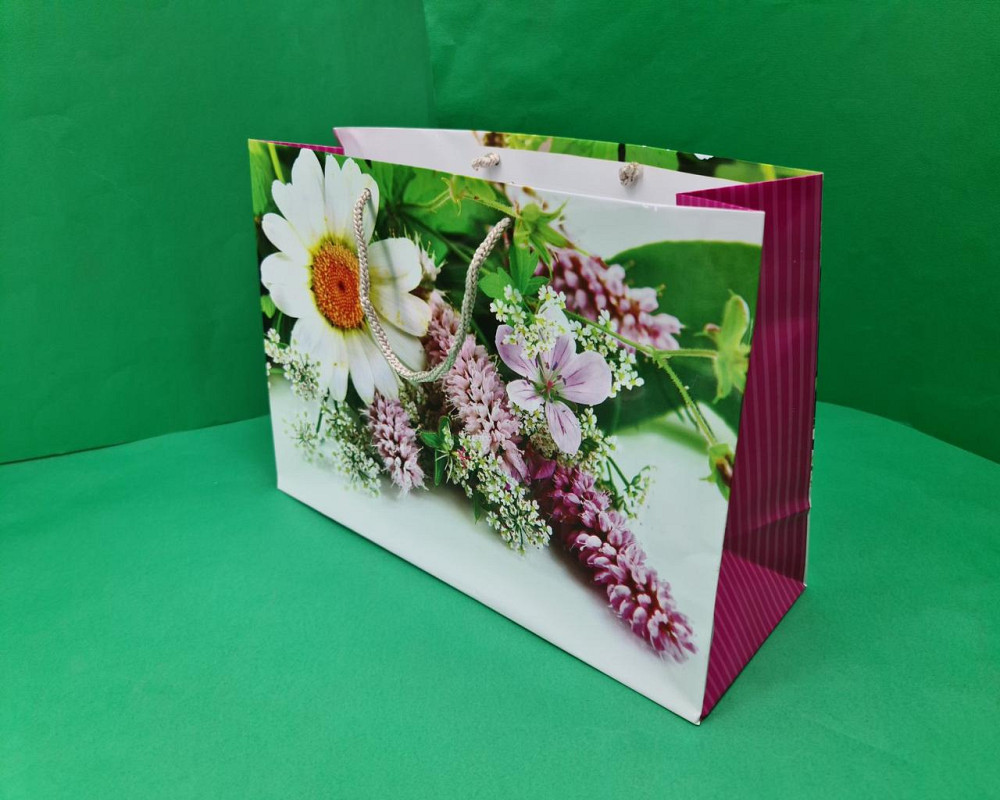 Бумажный большой горизонтальный пакет  36/22/10(артBG-086) (12 шт) Харьков - изображение 1