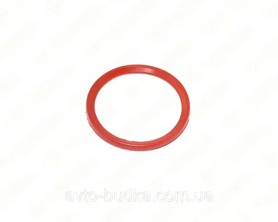 Кільце ущільнювача патрубка інтеркуллера на Renault Scenic III двигун 1.5dCi;  RS RS33349 Київ