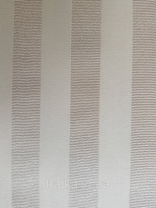 Шпалери вінілові на флізеліні Rasch TrianonXlll 0.53х10 класика структурні смуги кремові зі сріблом на білому Київ - фото 2