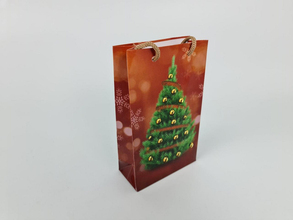 Пакети новорічні, миті, подарункові, Малий 11/18/5 -010 (12 шт.) Харків - фото 3