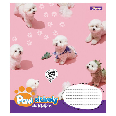 Зошит 1 вересня Pawsitively А5 24 аркушів лінія (768241) Вінниця - фото 5