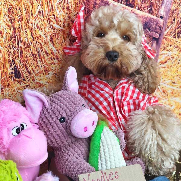 Іграшка для собак Patchwork Pet Maizey the Pig (Печворк Пт Свинка Мейзі) Запоріжжя - фото 4