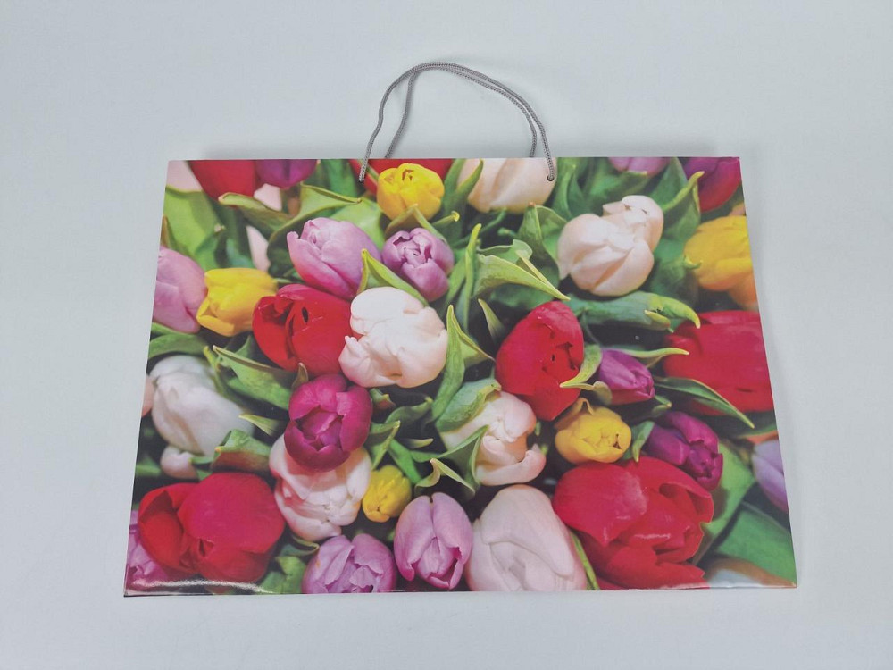 Бумажный пакет горизонтальный гигант 46*33*15 (артGG-020) (12 шт) Харьков - изображение 2