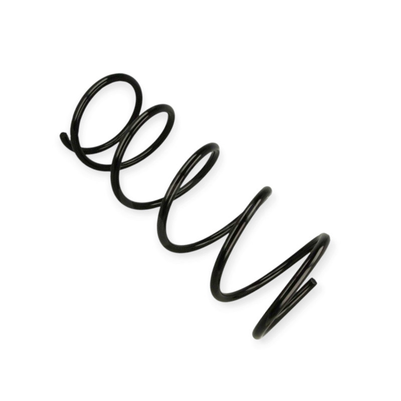 Пружина Citroen Xsara Picasso 1.6-2.0i, D (99-12) Мукачево - фото 1