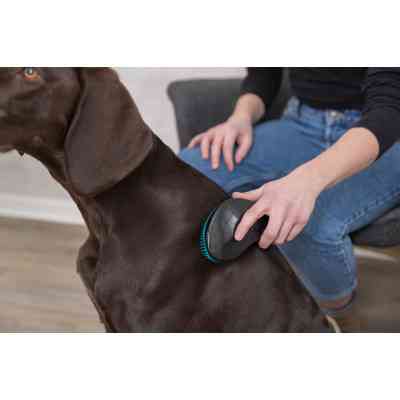 Гребінець для тварин Trixie Tangle Teezer 19 см (4011905241555) Вінниця