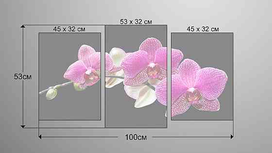 Модульна картина Орхідея (53х100см) Art-133_3 Київ