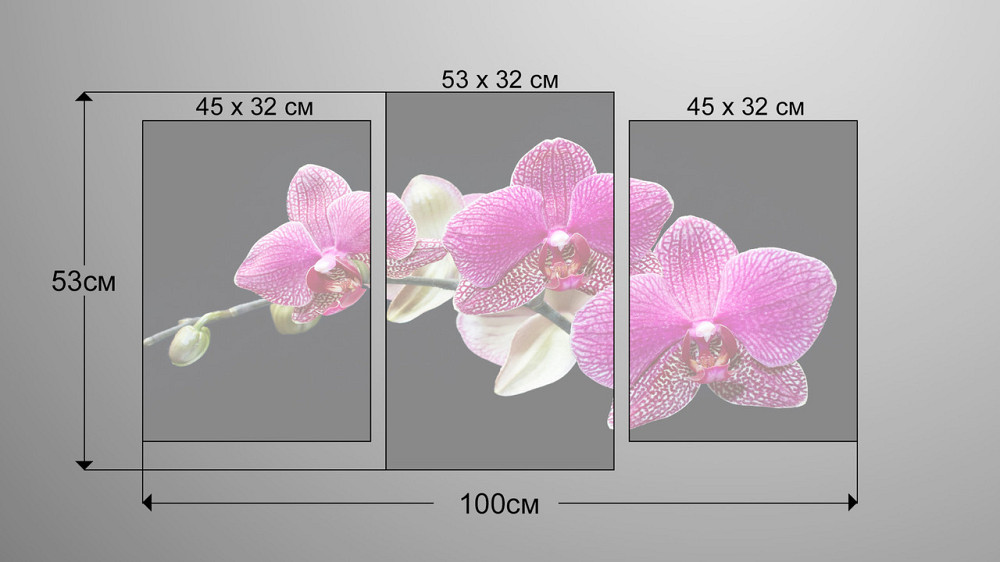 Модульна картина Орхідея (53х100см) Art-133_3 Київ - фото 3