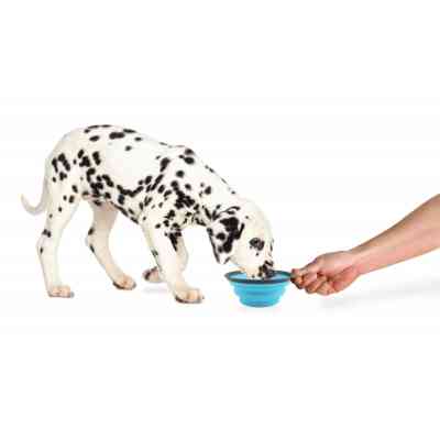 Посуд для собак Dexas Дорожня складна миска Тревел Кап з карабіном велика 480 мл (блакитна) (0084297309176) Вінниця