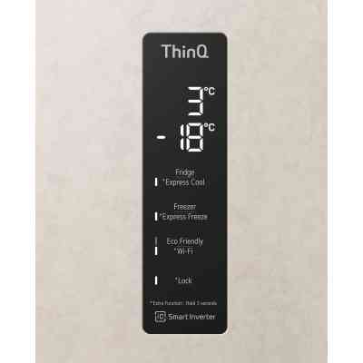 Холодильник LG GC-B509MEWM Винница