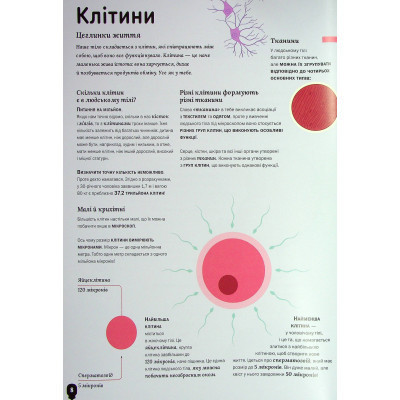 Книга Тіло людини - Кристина Перабоні Жорж (9786177853199) Винница - изображение 4