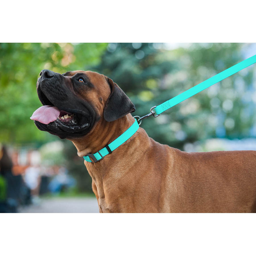 Повідець для собак водостійкий WAUDOG Waterproof, світонакоплювальний, L-XXL, Ш 25 мм, Дов 183 Коломия - фото 4