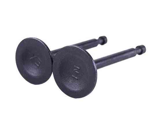 Клапани на бензиновий двигун P70F Мукачево