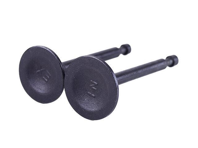 Клапани на бензиновий двигун P70F Мукачево - фото 2