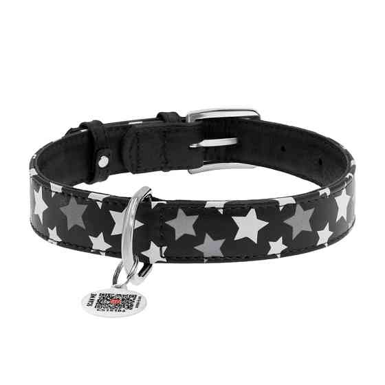 Нашийник для собак шкіряний WAUDOG Glamour з QR паспортом, візерунок "Зірочка", світлонакопичув Коломия