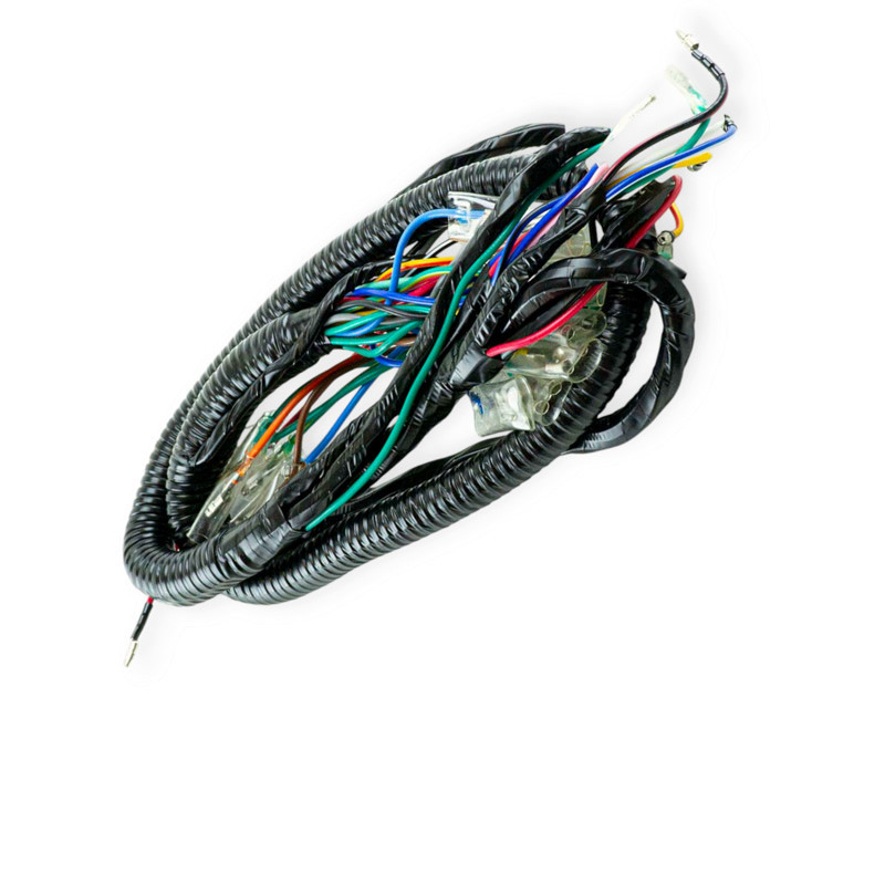 Проведення Альфа Мукачево - фото 2