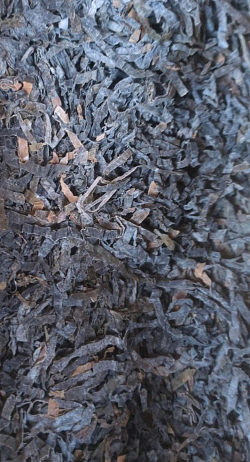 Ламинария / Морская капуста, 100г. MasterSEM Киев - изображение 1