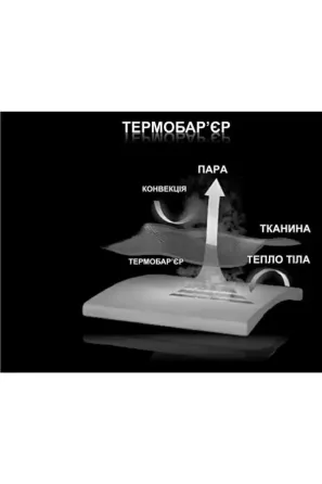Термокомплект чоловічий ThermoSoft Lans 15/006 L Київ