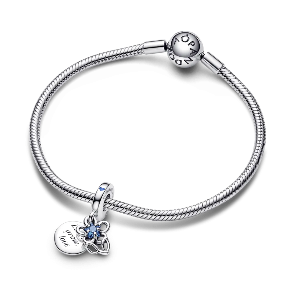 Серебряный шарм Пандора  