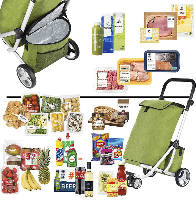 Сумка-тележка ShoppingCruiser 3 Wheels Green (650071) Киев - изображение 7