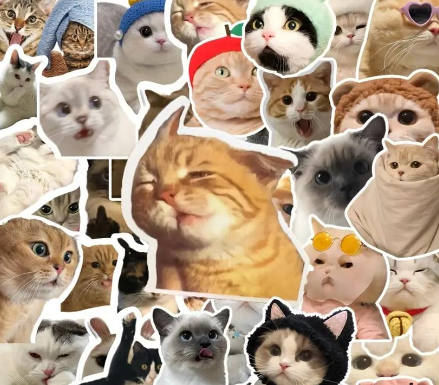 Стикеры с котами. Водонепроницаемые виниловые эстетические наклейки, набор 20 штук. Киев - изображение 2