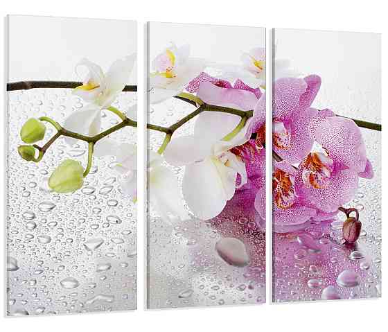 Модульна картина Квіти Орхідея Art-15_XXL Київ