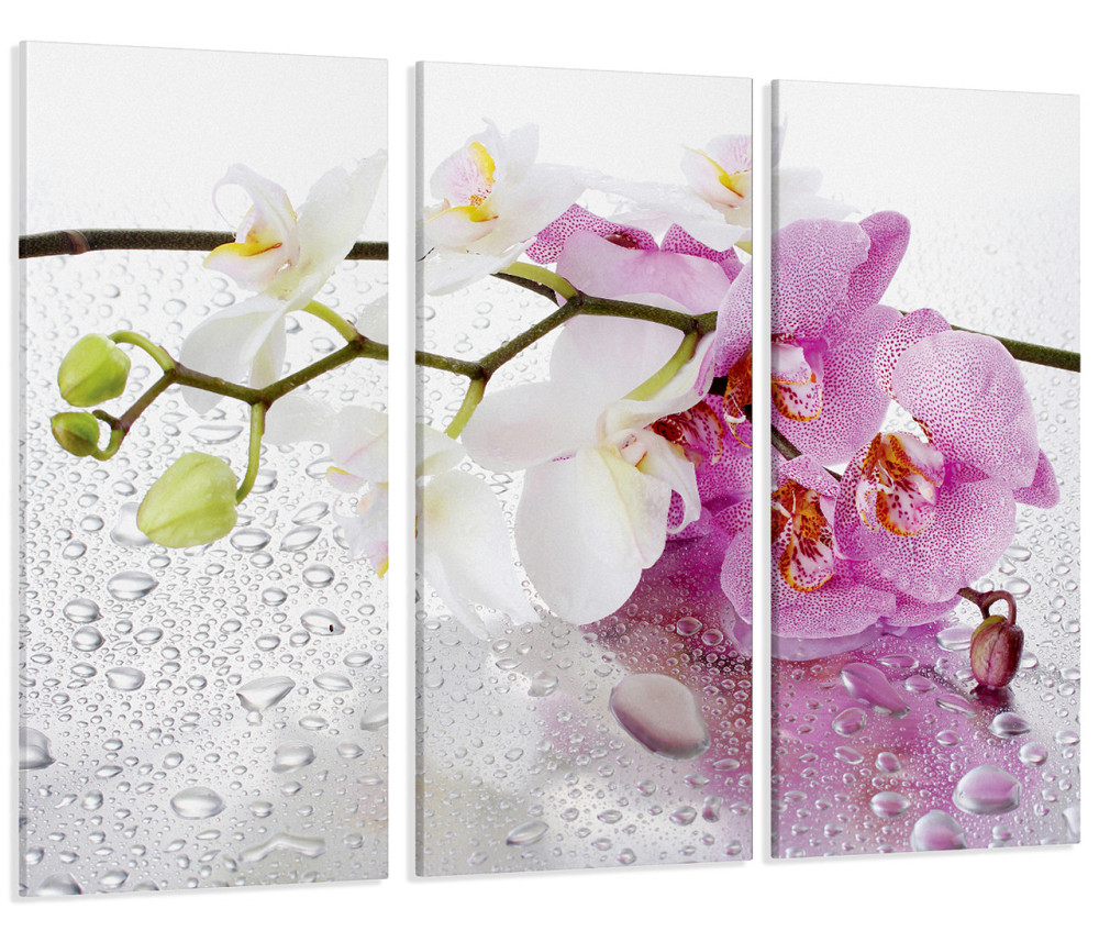 Модульна картина Квіти Орхідея Art-15_XXL Київ - фото 1