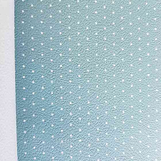 Обои виниловые на флизелине 0.53х10.05 Rasch Textil Petite Fleur 5 точки белые на серо голубом Киев